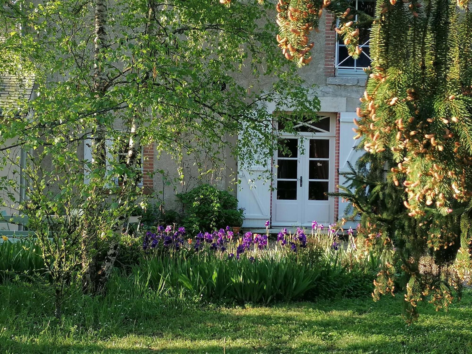 La Robiniere Maison D'Hotes Mont-près-Chambord Extérieur photo